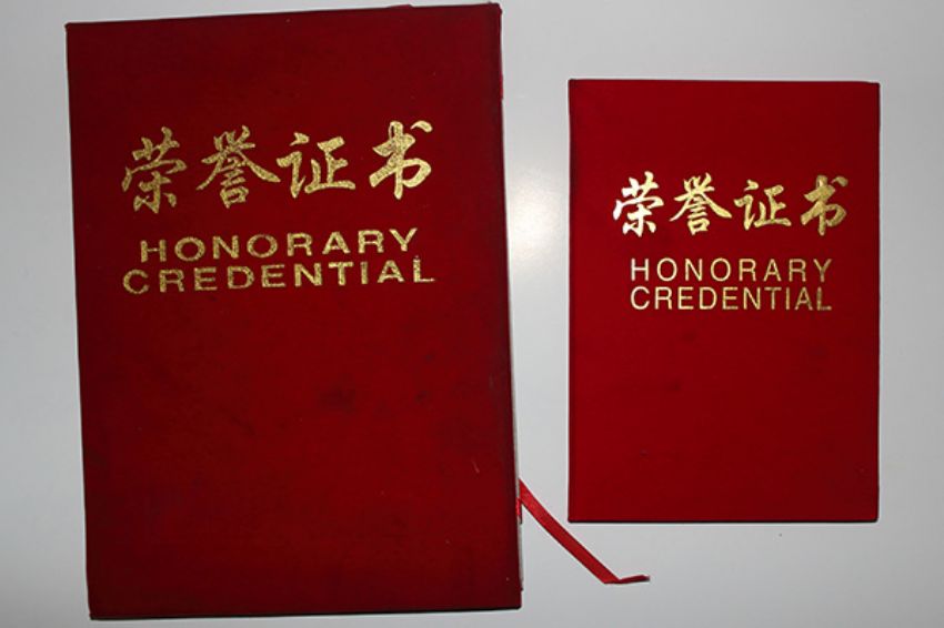 點(diǎn)擊查看詳細(xì)信息<br>標(biāo)題：東華職業(yè)培訓(xùn)學(xué)校榮譽(yù) 閱讀次數(shù)：5114