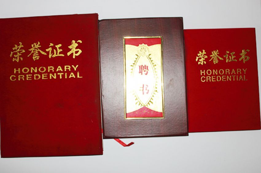 點(diǎn)擊查看詳細(xì)信息<br>標(biāo)題：東華職業(yè)培訓(xùn)學(xué)校榮譽(yù) 閱讀次數(shù)：5055
